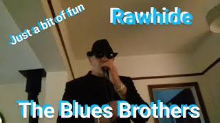 quotRawhidequot The Blues Brothers song cover [upl. by Pasadis]