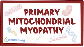 Primary mitochondrial myopathy  causes symptoms diagnosis treatment pathology [upl. by Eduam]