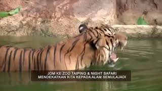 Zoo Taiping amp Night Safari [upl. by Etnor]