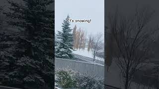 It’s snowin already [upl. by Egas]