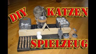 Fummelbrett für Katzen 🆗 Katzenspielzeug selber bauen Intelligenzspielzeug für Katzen selber machen [upl. by Haff]