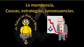 La membresía Causas estrategias consecuencias [upl. by Bonni702]