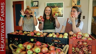 Four Ways to Put Up Apples  Heartway Farms  How to Use and Store Apples  Fall Apple Harvest [upl. by Sumahs]