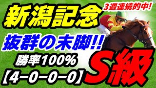 【 新潟記念2024 】今週も自信あり！勝率100％！（4000） [upl. by Burman]