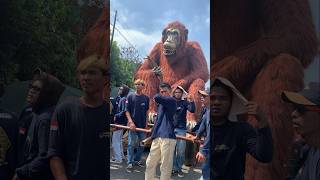 Ogoh ogoh orang utan besar karnaval desa sumurarum grabag [upl. by Rahcir568]