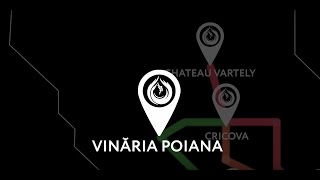 EuVinDinMoldova Vinăria Poiana [upl. by Clynes930]