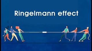 Short Story Ringelmann effect  The reason why social loafing occurs in the organization [upl. by Nnaytsirk139]