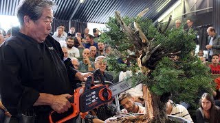 Kunio Kobayashi Bonsai demonstration [upl. by Amathist]