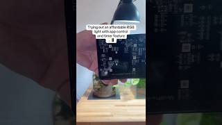 Trying out an affordable RGB light with app control and timer feature 💡📱 shorts [upl. by Akirret]