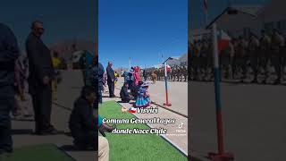 Algo simpático una llama en desfile militar en Visviri [upl. by Ydasahc]