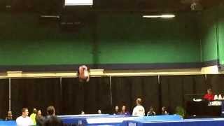 TampT Nationals  Shannon Level 10 Trampoline Optional Routine [upl. by Janey]