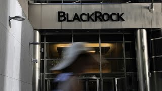 AI Stocks in Focus in BlackRock’s 2024 MidYear Outlook [upl. by Ainesej674]