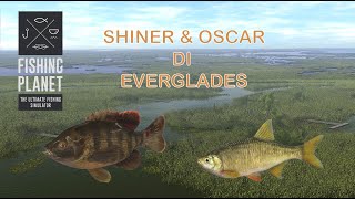 Fishing Planet Shiner amp Oscar di Everglades [upl. by Jozef888]