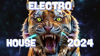 Musique Electro 2024  Our Hearts Light Up [upl. by Baelbeer]