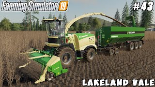 Harvesting poplar wood chips 1000000  Lakeland Vale 2  Farming simulator 19  Timelapse 43 [upl. by Gnouhc]