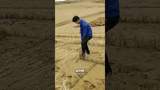 Grass Grid A Smart Solution to Desert Erosion [upl. by Siurtemed372]