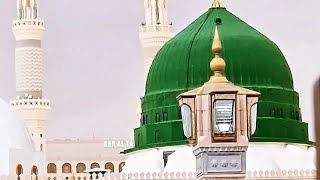 Ajmer Sharif 🤲🕌🇸🇦🕋🇮🇳 India trending viralvideo [upl. by Boehike]