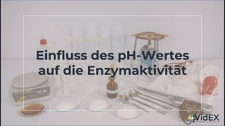 Der Einfluss des pHWertes auf die Enzymaktivität [upl. by Dempstor]