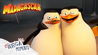 Private Saves the Day 🐧  Penguins of Madagascar  Compilation  Mega Moments [upl. by Llesig]