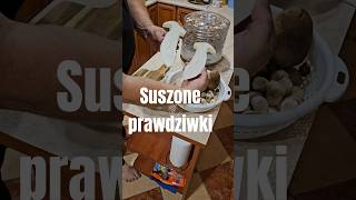 Robaczywe Sprawdzamy grzyby do suszenia 👌suszone grzybyborowikiprawdziwkigrzyby short [upl. by Lura527]