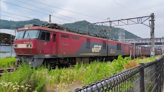 【20240622·IGRいわて銀河鉄道を走る貨物列車】二戸駅を通過していく3062ﾚ上り 札幌タ→越谷タ·EH50055牽引 [upl. by Jentoft]