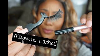 Glam Strip Lashes with Magnetic Eyeliner  NO GLUE  Amazon [upl. by Akemal]