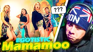 Reaccionando por primera vez a MAMAMOO  EGOTISTIC  K POP Latino  Davo Lobo [upl. by Aititel]