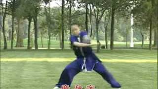 Bagua Training Program Complete Form Part 8 [upl. by Bornstein798]