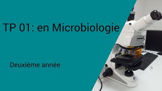 Généralité sur un laboratoire de Microbiologie [upl. by Adnuhsar]