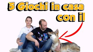 5 GIOCHI DA FARE IN CASA CON IL CANE [upl. by Ody]