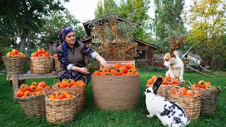 From Tree to Table Persimmon Harvest Drying amp Pie Recipe [upl. by Yeldnarb]