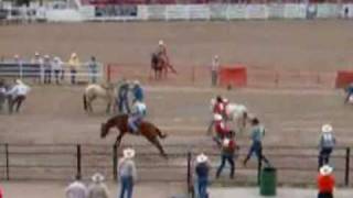 Cheyenne rodeo Wild horse race [upl. by Kathi]