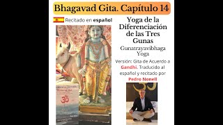 Yoga de la Diferenciación de las Tres Gunas Recitado en Español Pedro Nonell Bhagavad Gita 14 [upl. by Yrdua]