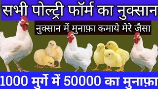 BROILER MURGA PALAN boiler poultry farm Murgi palan पैसा छाप रहा है सुगना शालीमार poultry farm [upl. by Aicemaj]