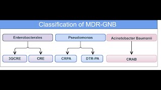 Classification of MDR Gram negative bacteria [upl. by Secnarf]