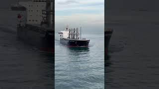 Marine traffic  ship trafiic area  subscribe my chanel if u like more video ♥️🚢 [upl. by Ahsiekrats997]