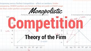 Monopolistic Competition [upl. by Nivra]