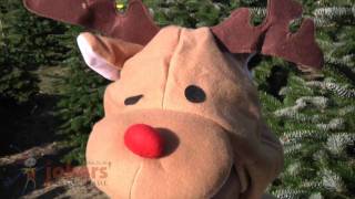 Adult Reindeer Costume ref 61956 [upl. by Shadow]