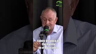 ¡¡Control Orgánico de Chicharrita en el Aguacatero🥑🌳🪳♻‍🧑🏽‍🌾 [upl. by Scharff]