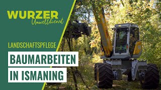 Wurzer Umweltdienst  Baumarbeiten in Ismaning [upl. by Hildegaard]