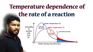 12Temperature Dependence of the Rate of a Reaction  CBSE Class 12 Chemistry [upl. by Lubba994]