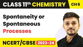 Class 11 Chemistry Chapter 6  Spontaneity or Spontaneous Processes  Thermodynamics [upl. by Ullman190]