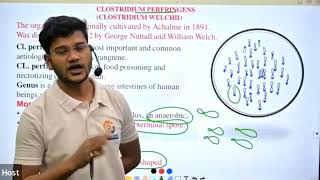 Clostridium species in Hindi II By Sanjay Sir [upl. by Faustina606]