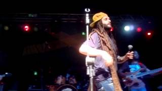 Alborosie  Herbalist Live In Belém [upl. by Eelyr]