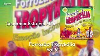 Forrozão Tropykália  Vol 9  Seu Amor Está Em Mim [upl. by Madriene]