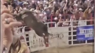 Bull Escapes Arena During Rodeo Event Injures 3 People [upl. by Ais]