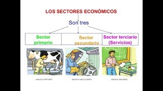 Sectores económicos [upl. by Eirehc]