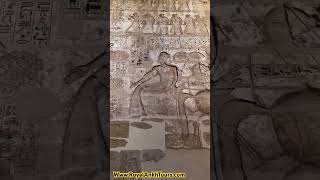 Medinet Habu egypt history travel habu trip ancient tour cruisevacation nilecruise [upl. by Eceinwahs]