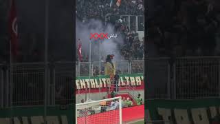 حذاري ☠️ الباش [upl. by Annocahs]