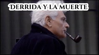 Derrida [upl. by Ierdna250]